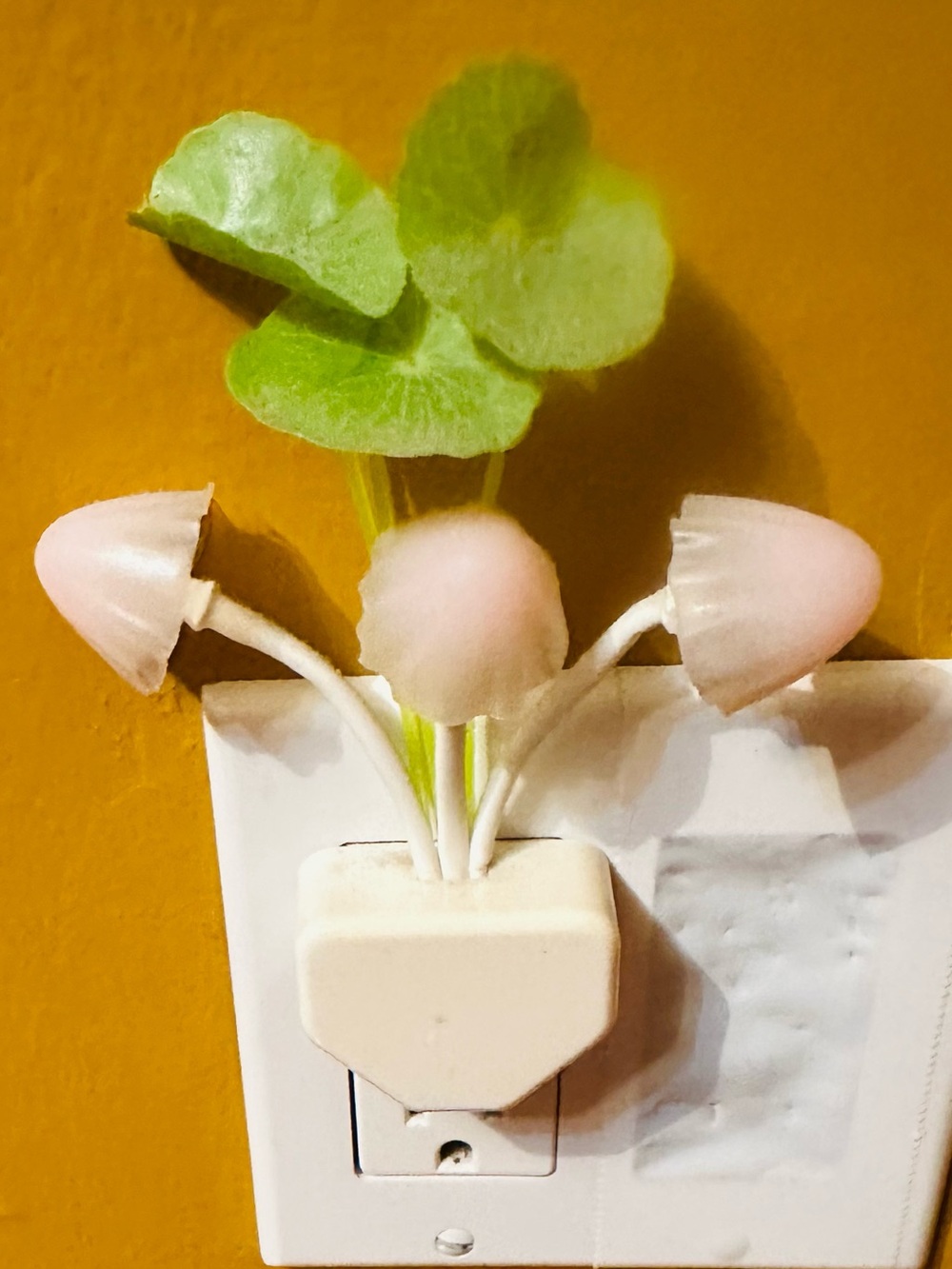 Pink Mushroom Night Light Plug-In with changing colors